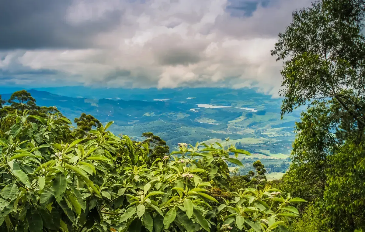 Imagem da galeria de Poços de Caldas